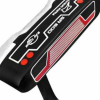 Ray Cook Sr600 Putter